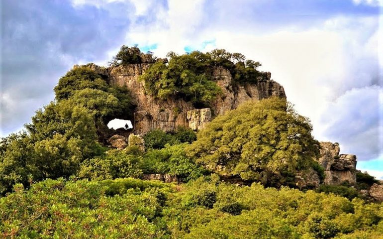 La foto. Quel che non ti aspetti quando passeggi in Sardegna