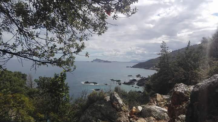 La foto. Cartoline dal magico territorio di Baunei