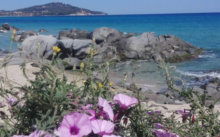 La foto. Prove tecniche di primavera a Tortolì