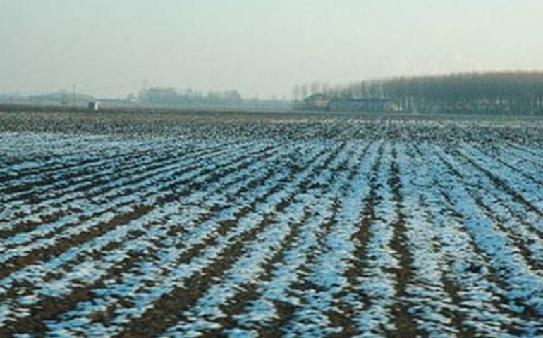 Gelate in Sardegna e danni all’agricoltura: dalla Regione attivate procedure per segnalazioni dai lavoratori. “Intervenuti tempestivamente”