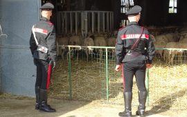 carabinieri-ovile-san-basilio