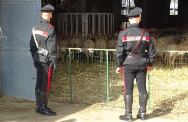 carabinieri-ovile-san-basilio