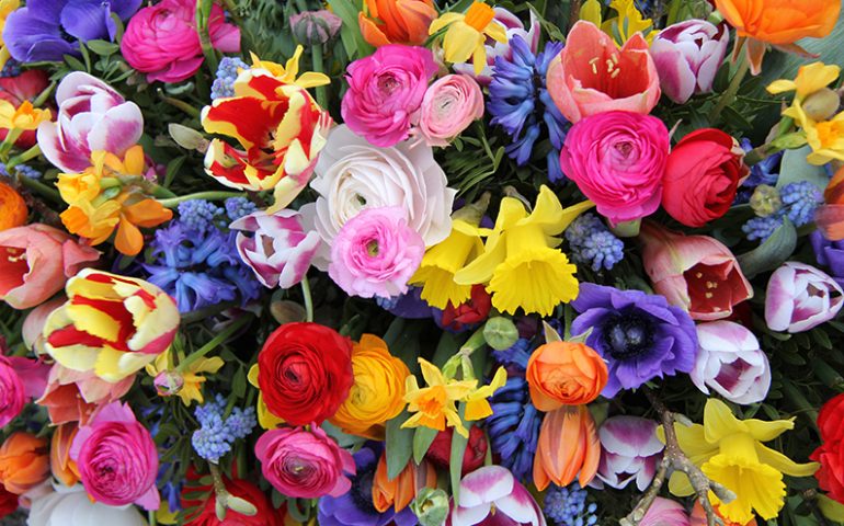 Coldiretti Sardegna: 6 italiani su 10 hanno regalato fiori per la festa della mamma