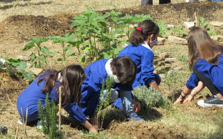 Pirri si fa green: “I Bambini che piantano alberi” mettono a dimora 50 piante
