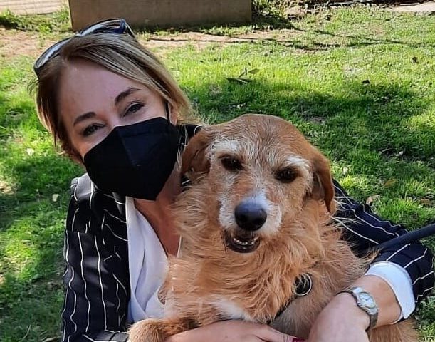 Ritiro delega assessora Piroddi. «L’unica che si è mai occupata degli animali in città», insorgono gli animalisti