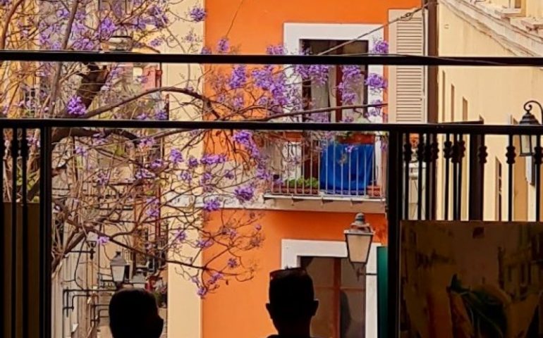 La Foto. Cagliari, scorcio del portico Sant’Antonio: sullo sfondo le jacarande in fiore