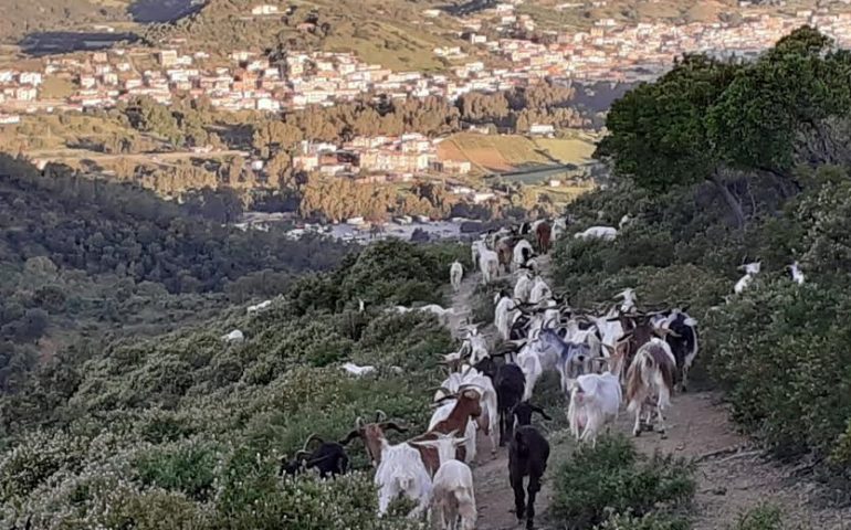 La foto. Splendida natura nello scatto del giorno di Daniele Foddis