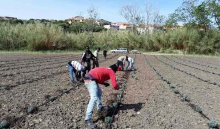Morte di un bracciante 27enne, in Puglia ecco l’ordinanza: lavoro vietato nelle ore più calde della giornata