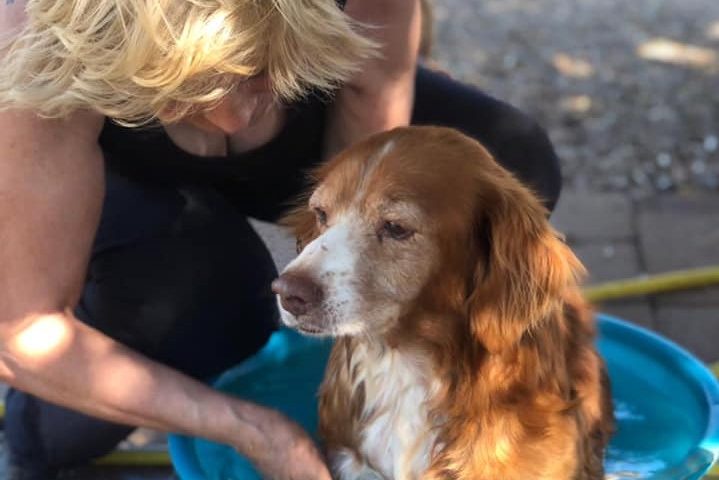 Rifugio di Gonnos, 40 gradi: «L’inferno non deve essere molto diverso da qui», parla Caterina Uccheddu