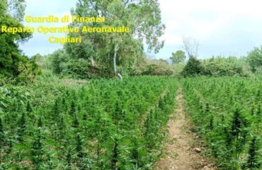 dolianova-piante-cannabis-fiamme-gialle