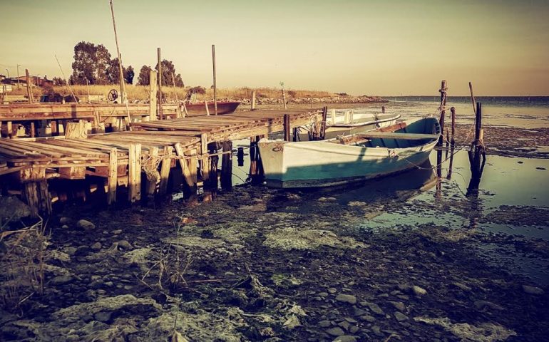La polemica. Laguna di Elmas, Valter Piscedda (Pd): “Il Comune ha sprecato cinque anni”