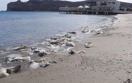 Cagliari, Poetto, sacchi sulla battigia (15 marzo 2021) - Copia