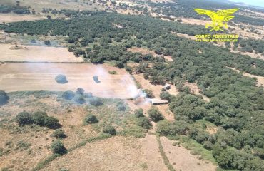 incendi-sardegna-11-luglio