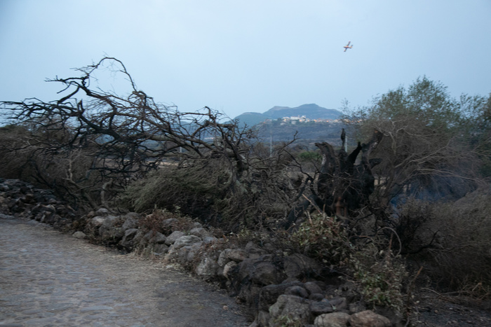 Incendi nell’oristanese, cominciano le indagini del Corpo Forestale