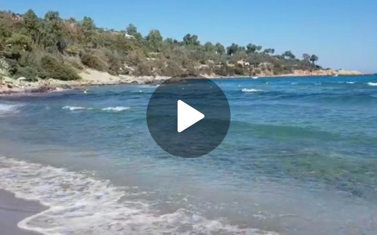 Il video. La bellezza del mare ogliastrino: la spettacolare spiaggia di Porto Frailis