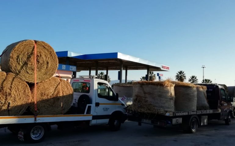 Le foto dei lettori. I Volontari di Villacidro portano balle di fieno alle comunità piegate dai roghi