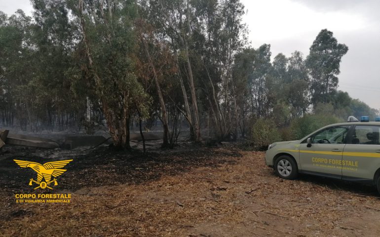 Sardegna, la Forestale arresta un piromane: il 5° in poco tempo. I complimenti del presidente Solinas