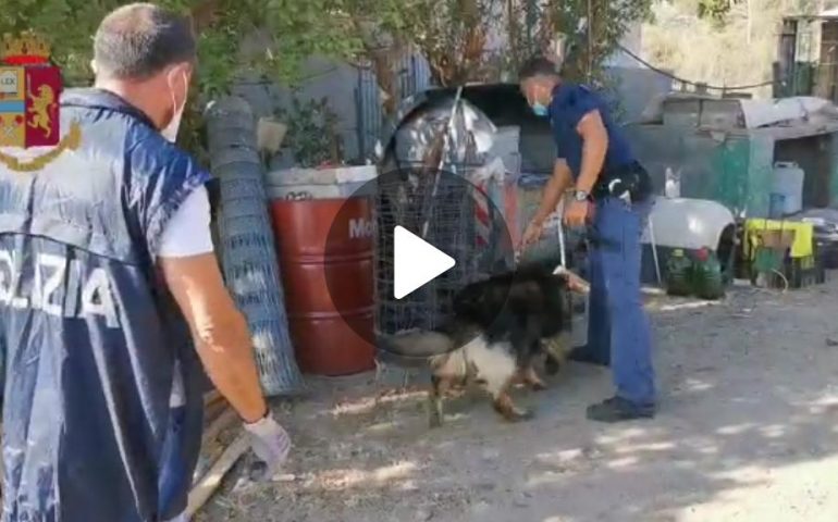(VIDEO) Cagliari, blitz della Polizia a Villa d’Orrì: arrestato 53enne per spaccio di droga