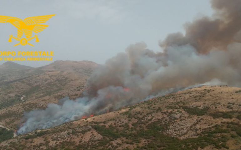 Sardegna, oggi 44 incendi hanno devastato il territorio: in 6 sono intervenuti i mezzi aerei