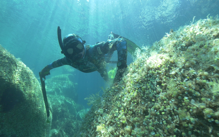 Sardegna, dal 16 al 19 settembre: i Mondiali di pesca in apnea nei fondali cristallini di Arbatax