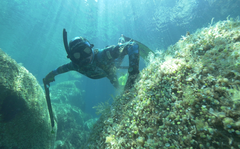 Sardegna, dal 16 al 19  settembre: i Mondiali di pesca in apnea nei fondali cristallini di Arbatax