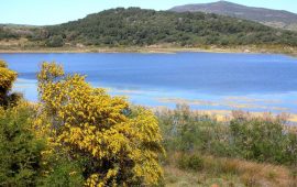 Qual è l’unico bacino naturale della Sardegna?