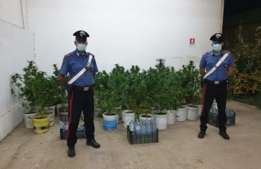 cannabis-settimo-san-pietro (1)