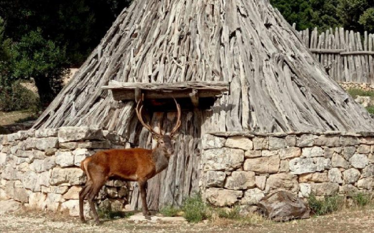 (FOTO) Sardegna, uno splendido cervo in posa. Forestas: “Sembra un attore, ma è tutto vero”