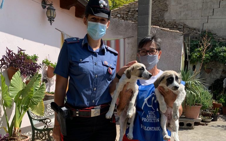 cuccioli-salvati-manda-carabinieri