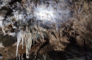 In Sardegna c’è una grotta unica al mondo: ha una sala piena di aragoniti eccentriche