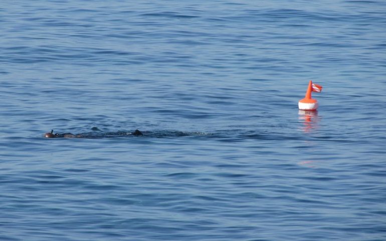 Sub 61enne muore durante battuta di pesca con gli amici a Sarroch