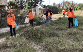 lavoratori reddito cittadinanza