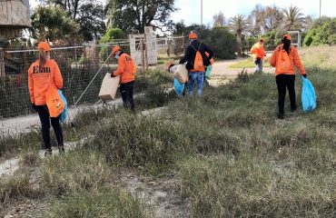 lavoratori reddito cittadinanza