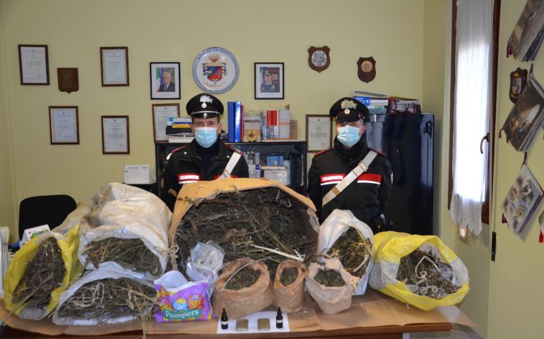 In un edificio disabitato un’enorme sorpresa per i carabinieri: 14 chili di marijuana