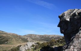 (FOTO) Il volto di Dante scolpito in una roccia nel cuore della Sardegna. Ecco dove si trova