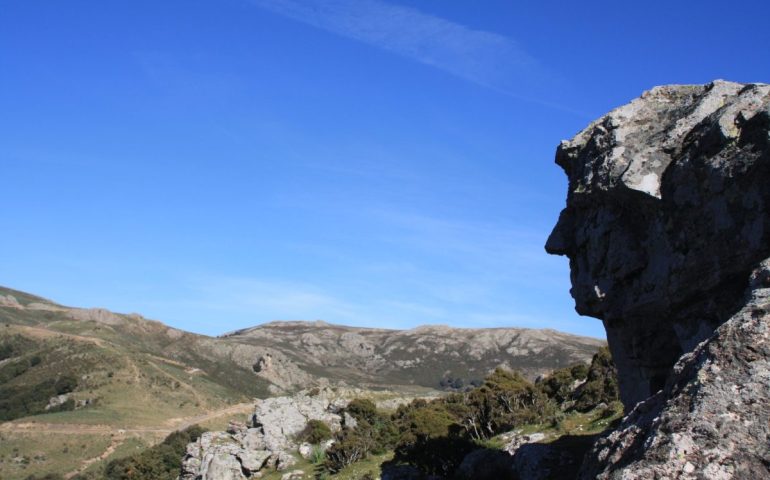 (FOTO) Il volto di Dante scolpito in una roccia nel cuore della Sardegna. Ecco dove si trova