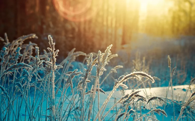 Lo Sapevate? Da “su mese ‘e idas” e “de Paschixedda”: ecco dicembre come è noto in sardo