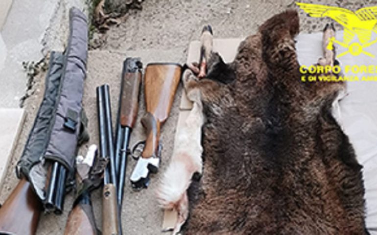 Bracconaggio nel cagliaritano: abbattuti un cervo e un muflone, denunciati 9 bracconieri