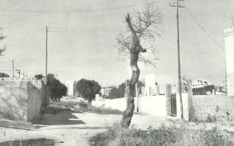 La Cagliari del passato. San Giuliano negli anni ’60-’70, ormai scomparso il monastero benedettino