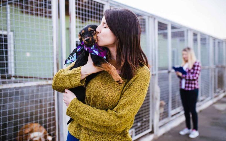 “Tendi la zampa”, 600 euro a chi adotta un cane del canile: la bellissima iniziativa a Pula