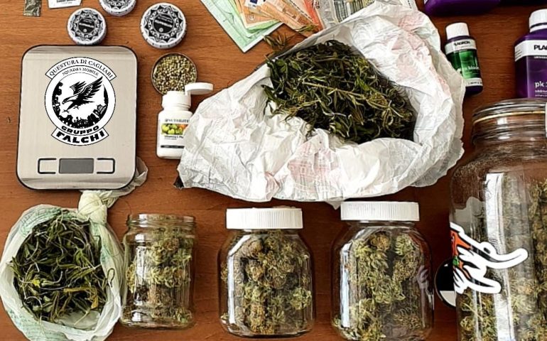 Sardegna, una serra di marijuana in camera da letto: in manette un 36enne