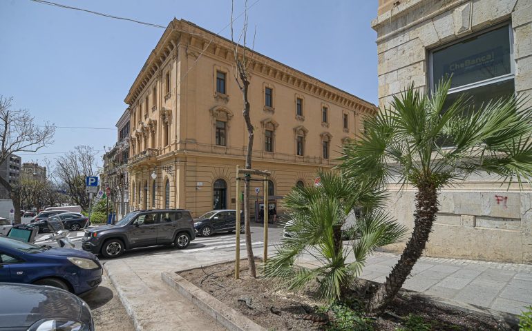 Cagliari, una nuova Jacaranda nel largo Carlo Felice