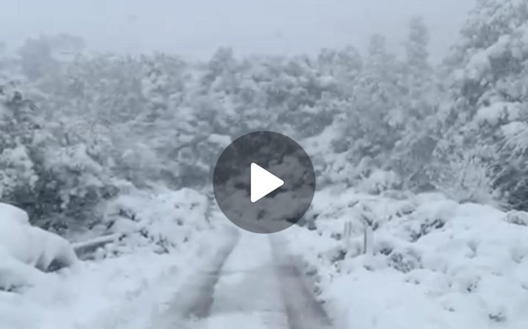(VIDEO) La Sardegna sotto la neve: precipitazioni anche a bassa quota in varie zone dell’Isola