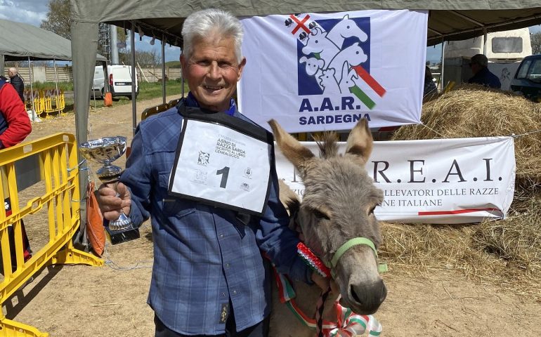 L’asinella Chilivani vince la prima mostra dell’asino sardo