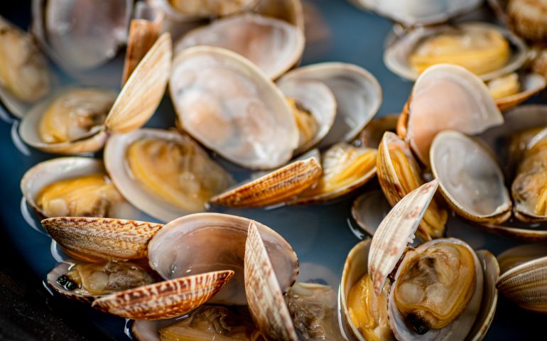 Sorpreso con 2 kg di vongole pescate abusivamente: 61enne arrestato