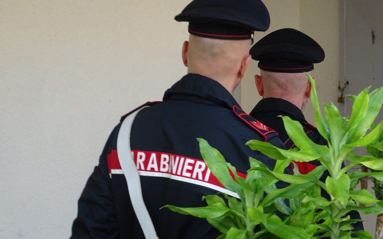 Blitz antidroga in Sardegna: recuperati 33 chili di marijuana, arrestato un allevatore