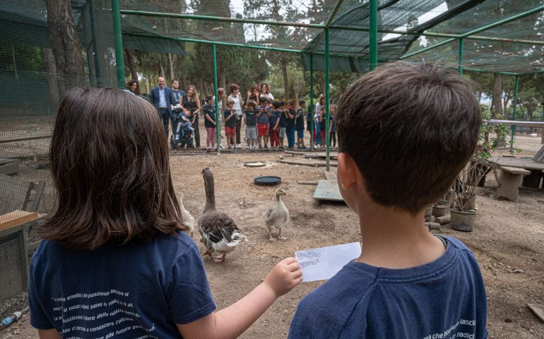 Bambini in festa a Monte Urpinu per il battesimo dei pulli di oca