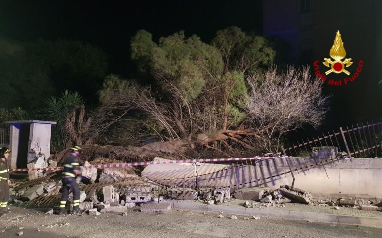 Attimi di paura a Cagliari, un grosso albero caduto in Via Tintoretto