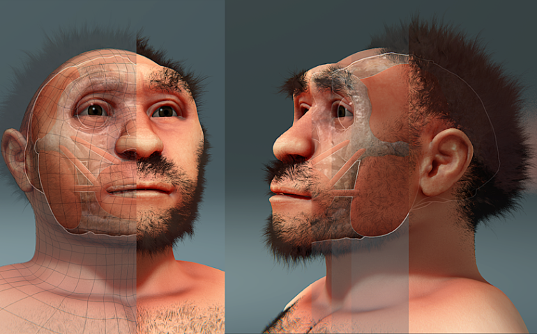 La ricostruzione di un homo erectus, il 