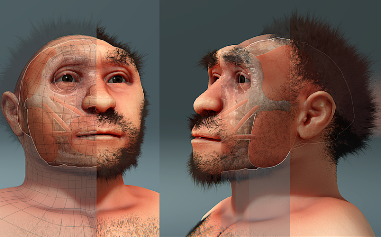 La ricostruzione di un homo erectus, il